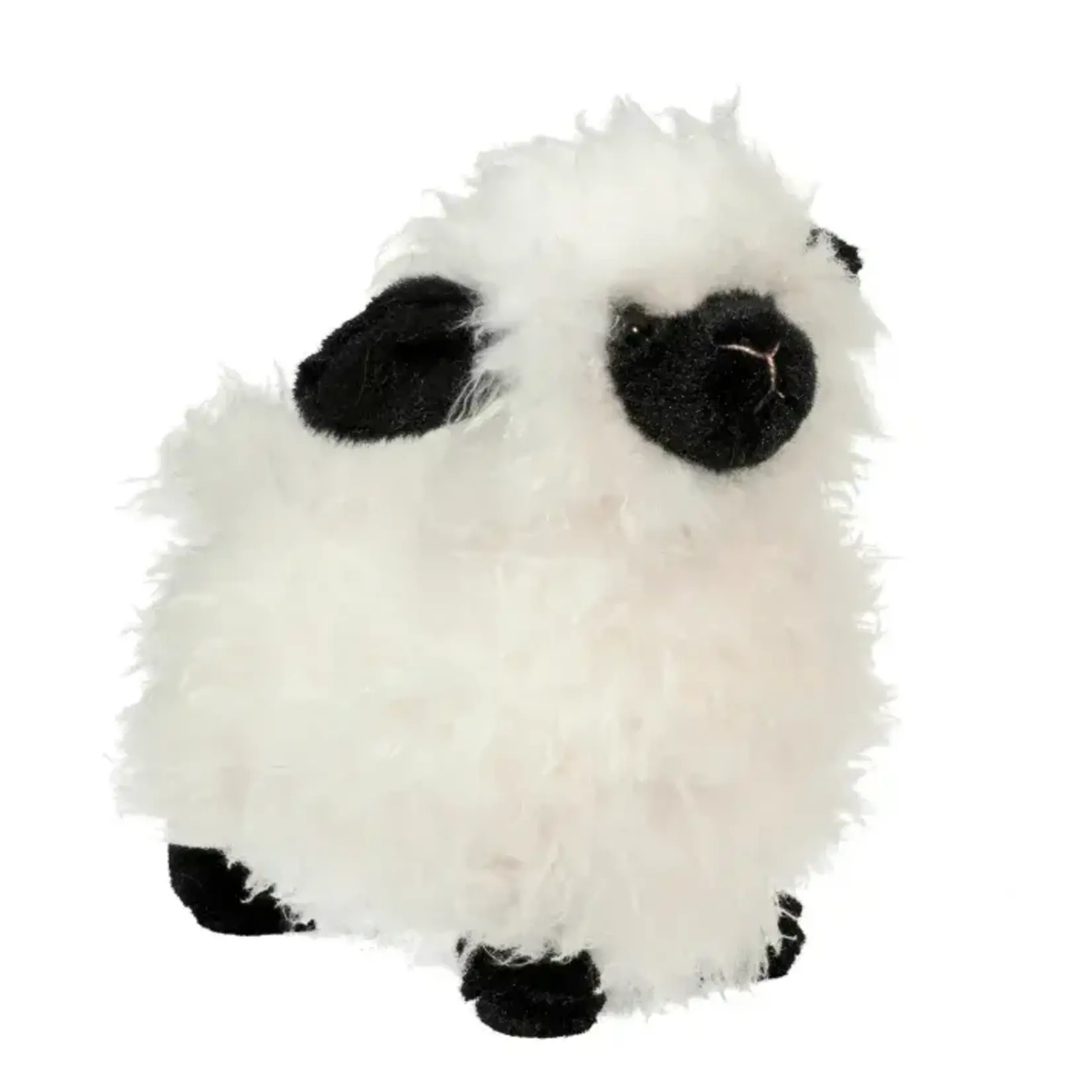 Douglas Shiloh Sheep