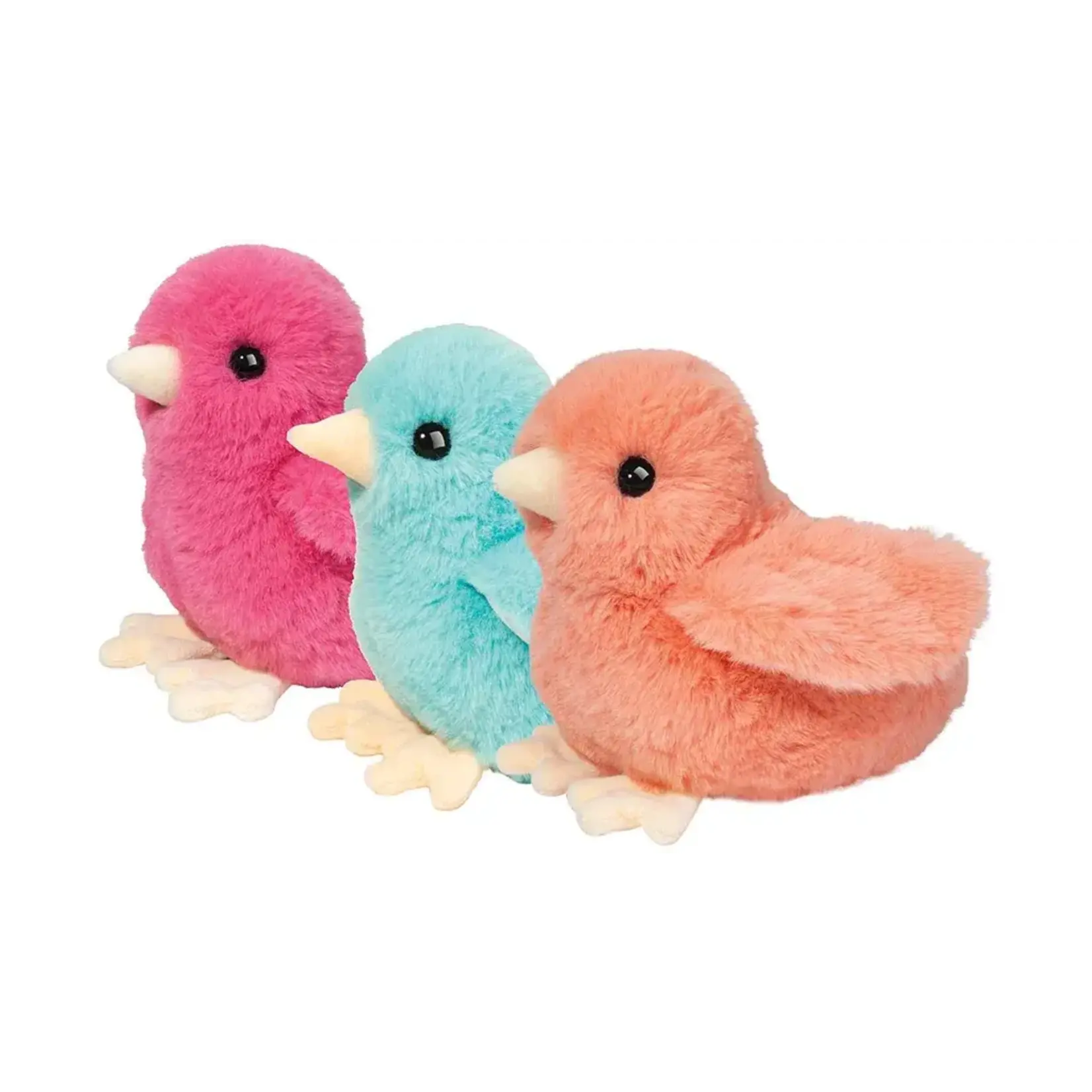 Douglas Colorful Chicks