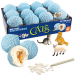 MW Wholesale Dig It Up - Cats Box of 12
