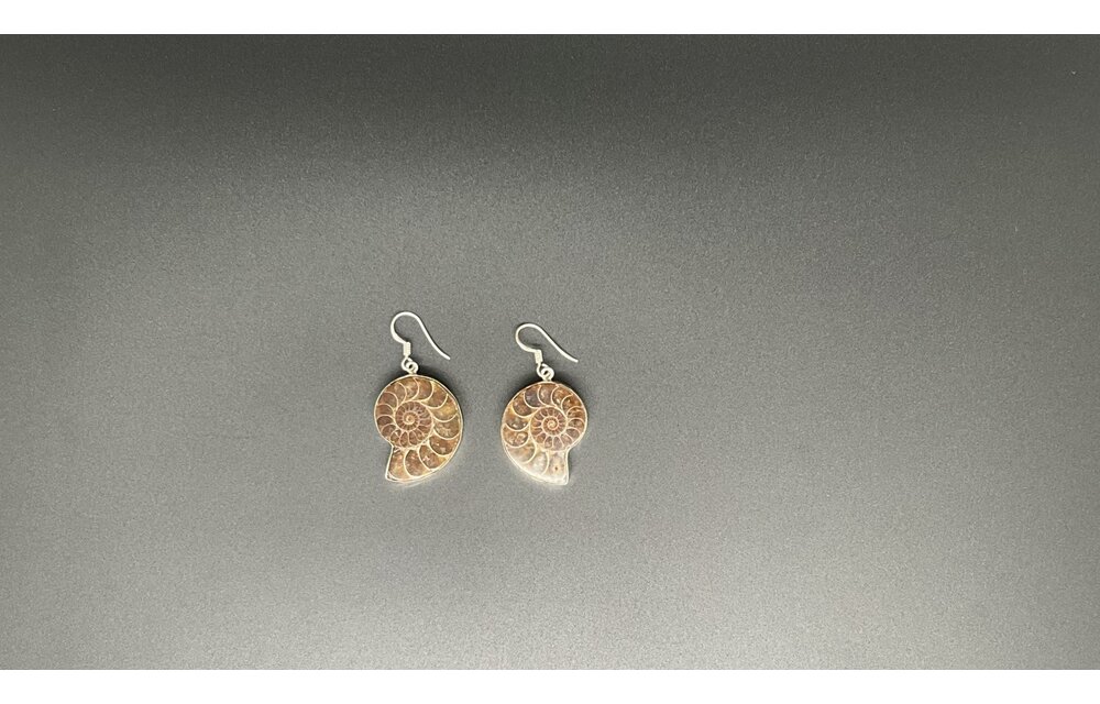 Sterling Silver & Shell Earrings