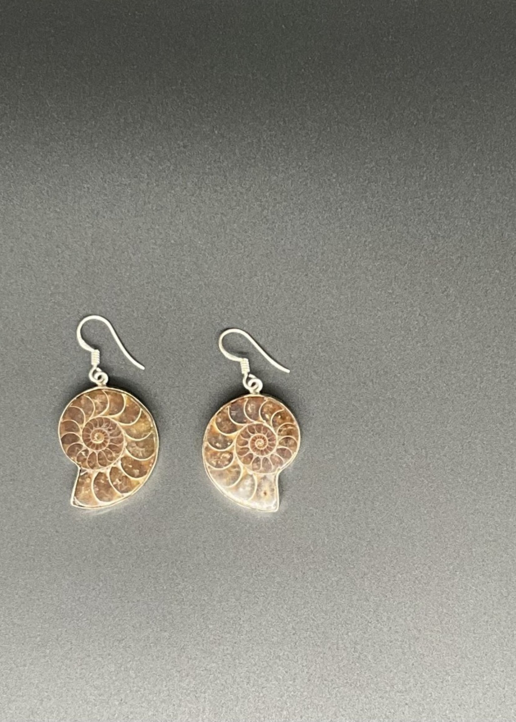 Sterling Silver & Shell Earrings