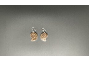 Sterling Silver & Shell Earrings