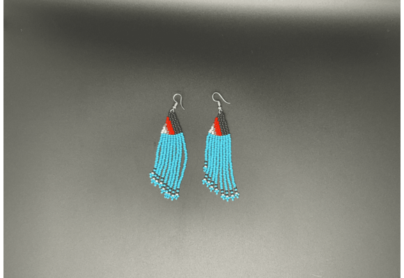 Blue and Multicolor Beaded Dangling Earrings