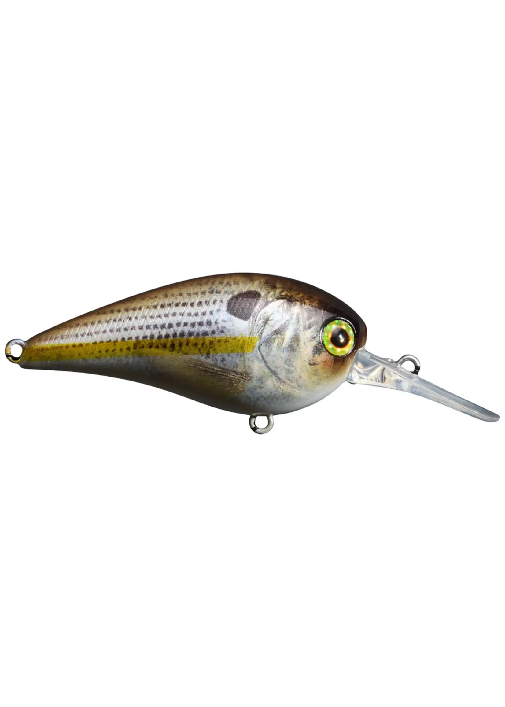 Jackall Jackall - Medium Crankbait - MC60 MR -