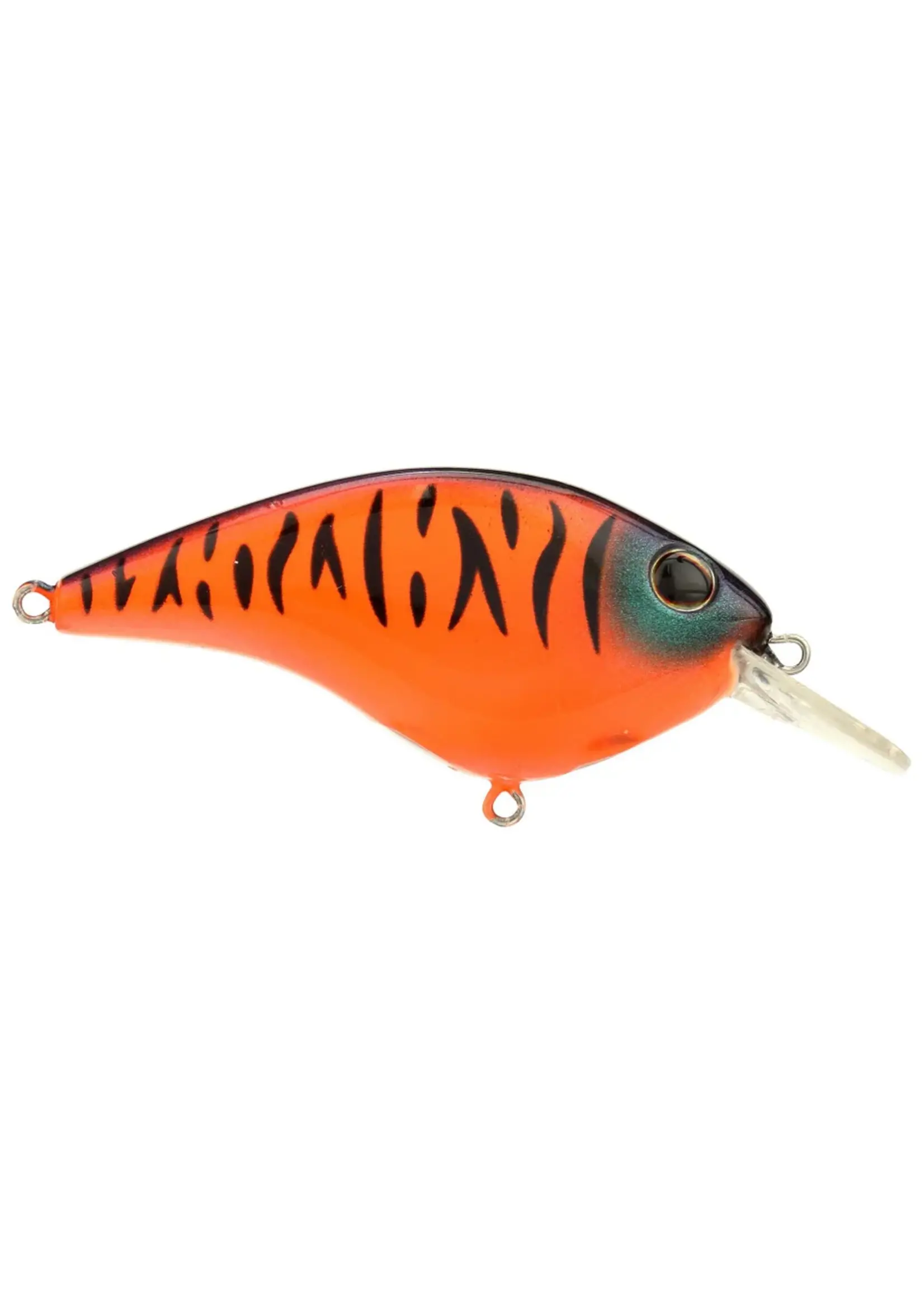 Berkley Berkley - Frittside 5 Clickin -