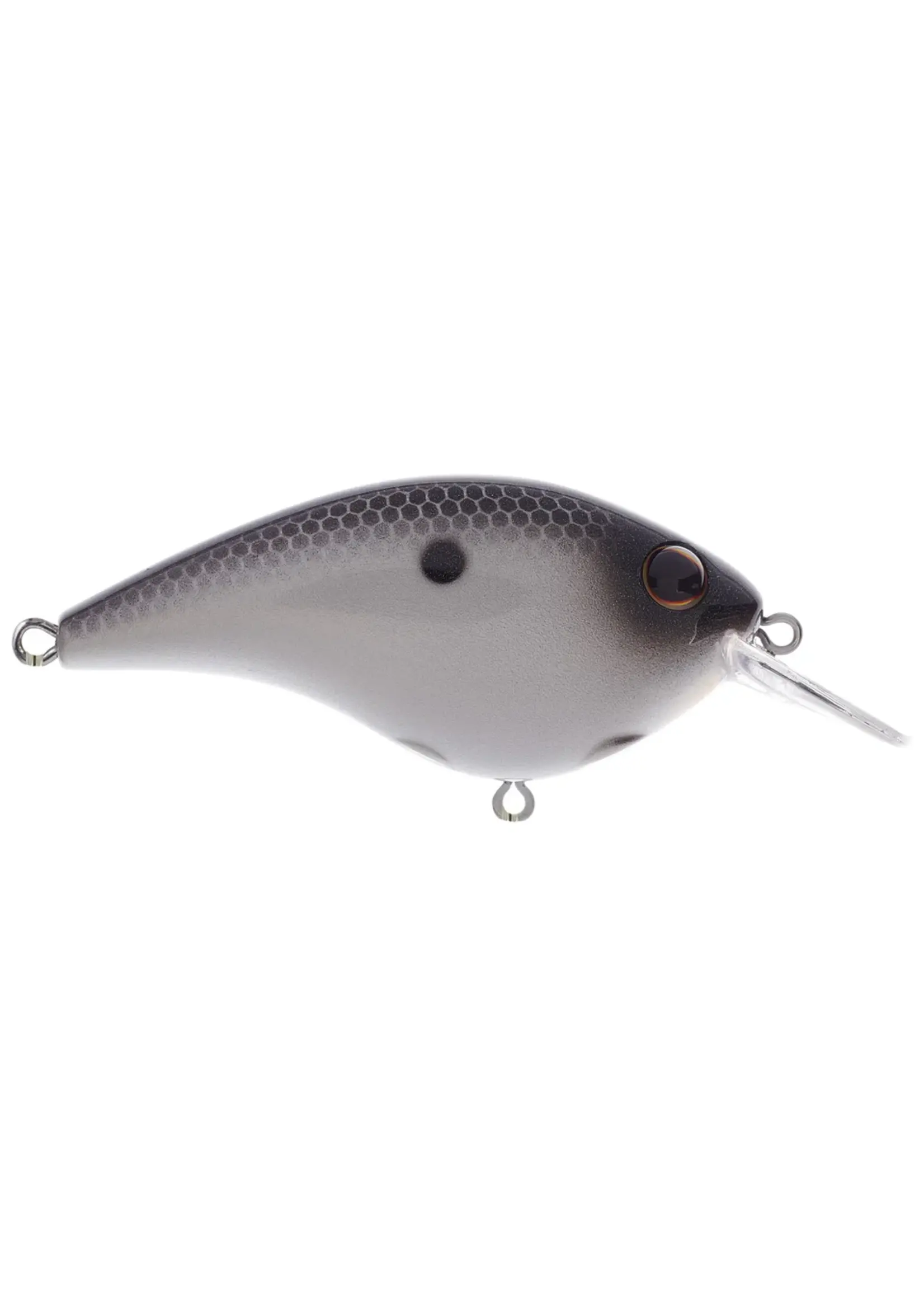 Berkley Berkley - Frittside 5 Clickin -