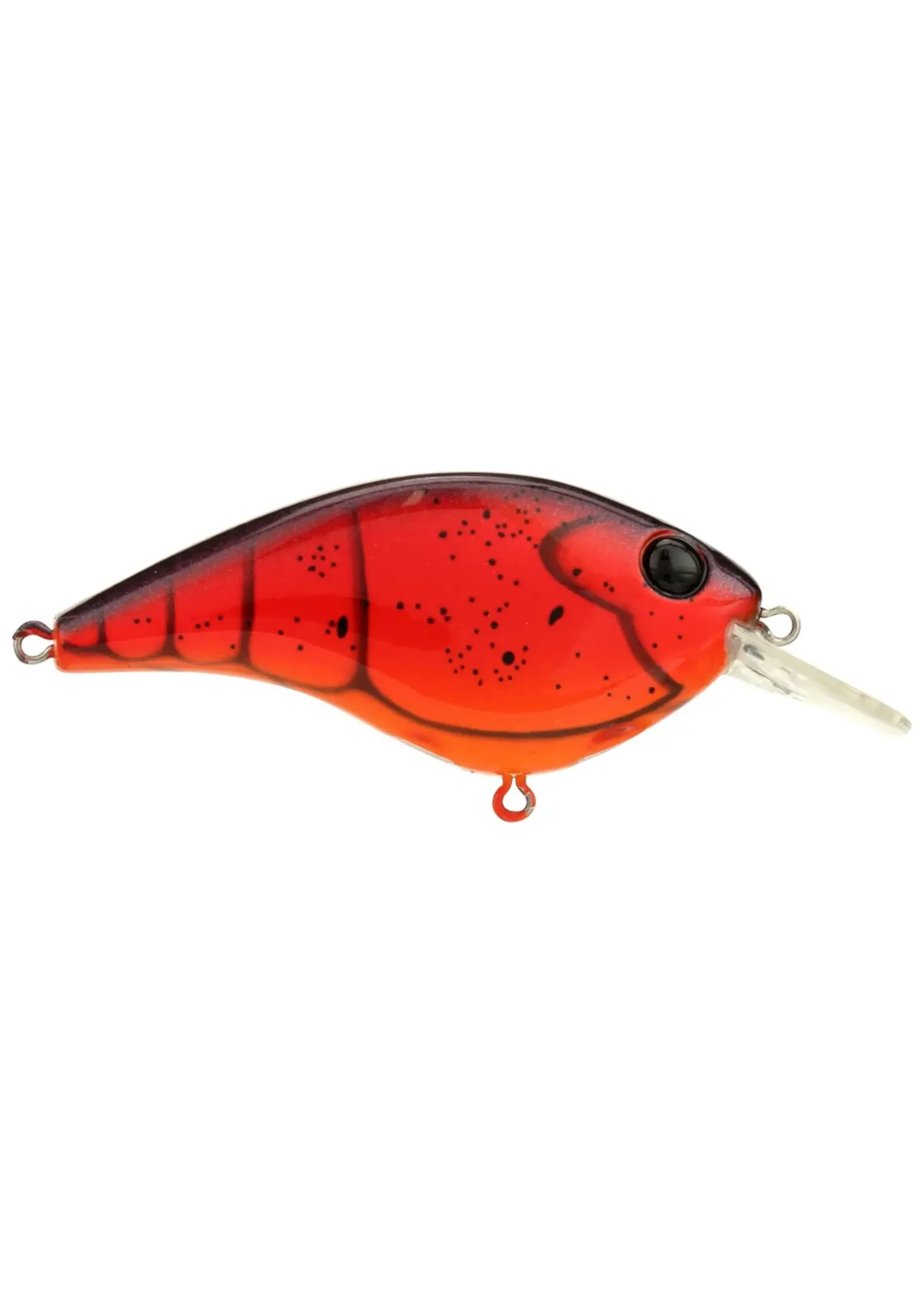 Berkley Berkley - Frittside 5 Clickin -