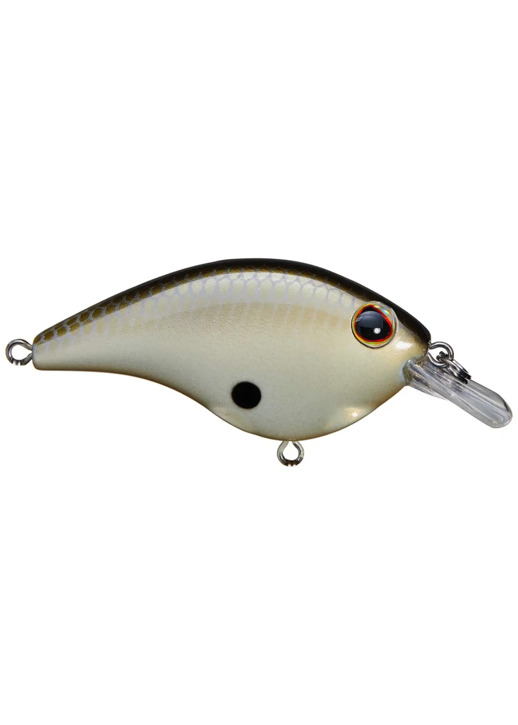 Berkley Berkley - Frittside 5 Jr. -