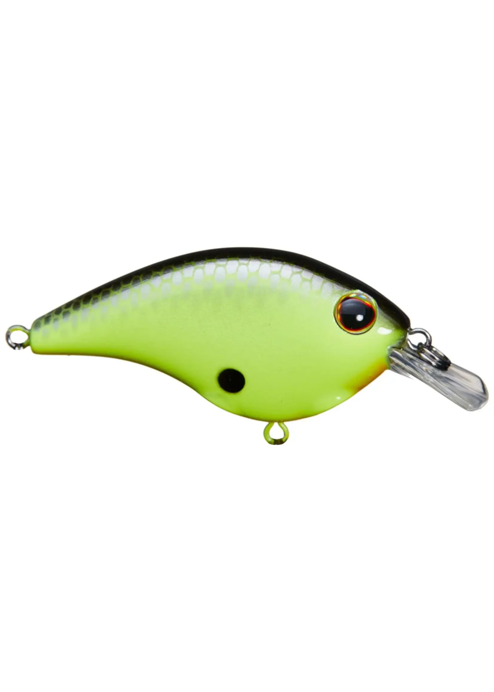 Berkley Berkley - Frittside 5 Jr. -
