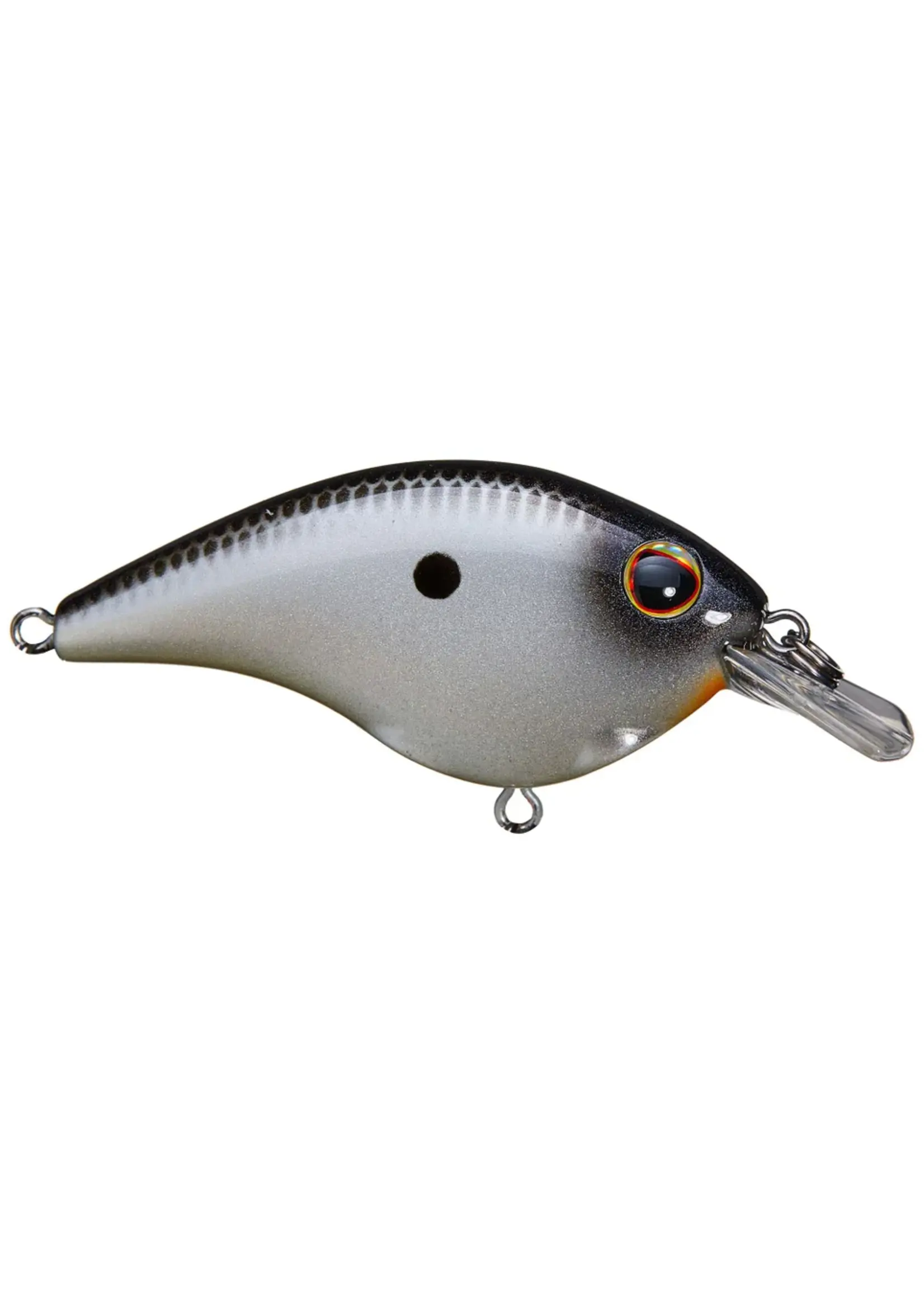 Berkley Berkley - Frittside 5 Jr. -