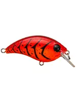 Bill Lewis Bill Lewis - ATV1 - Squarebill -