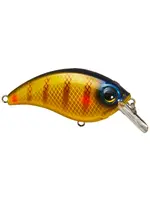 Bill Lewis Bill Lewis - ATV15 - Squarebill -