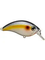 Bill Lewis Bill Lewis - ATV15 - Squarebill -