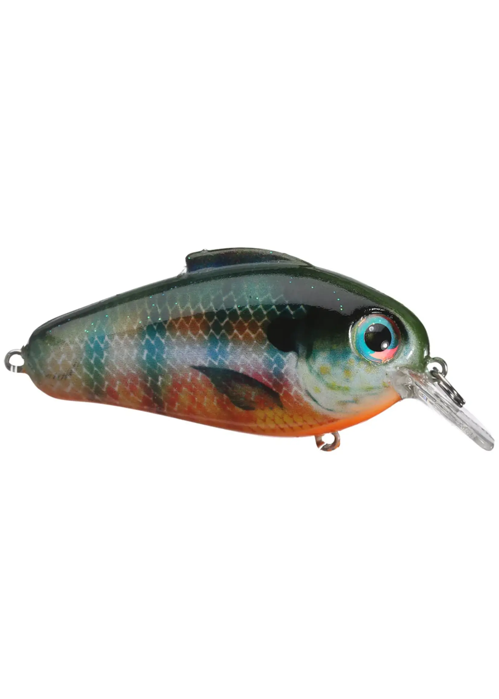 Bill Lewis Bill Lewis - Echo 1.75 - Squarebill Crankbait -