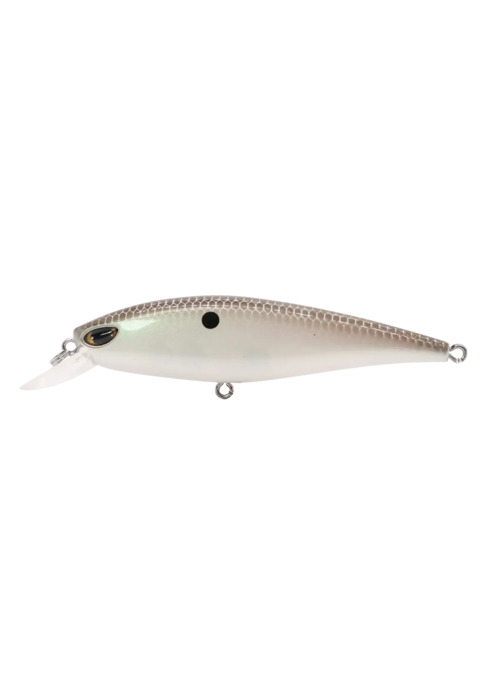 Duckett Fishing Duckett - BD 79 - Jerkbait -