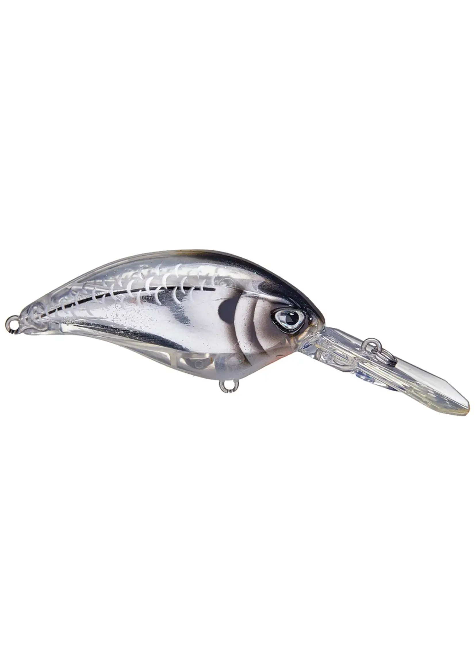 Duckett Fishing Duckett - Delete - BD Revolt Crank DR Crankbait -