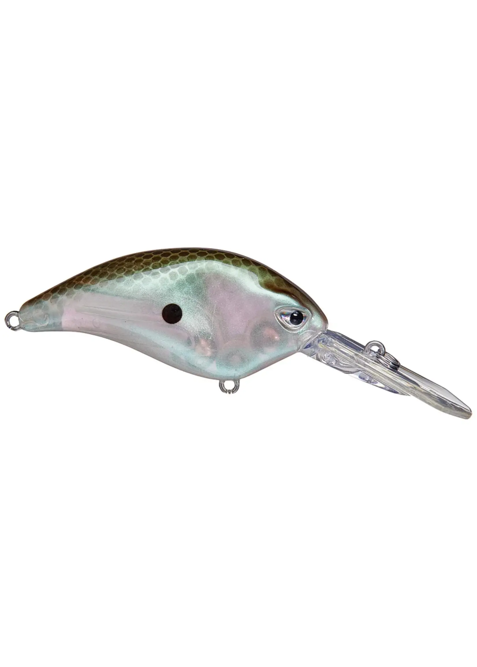 Duckett Fishing Duckett - Delete - BD Revolt Crank DR Crankbait -