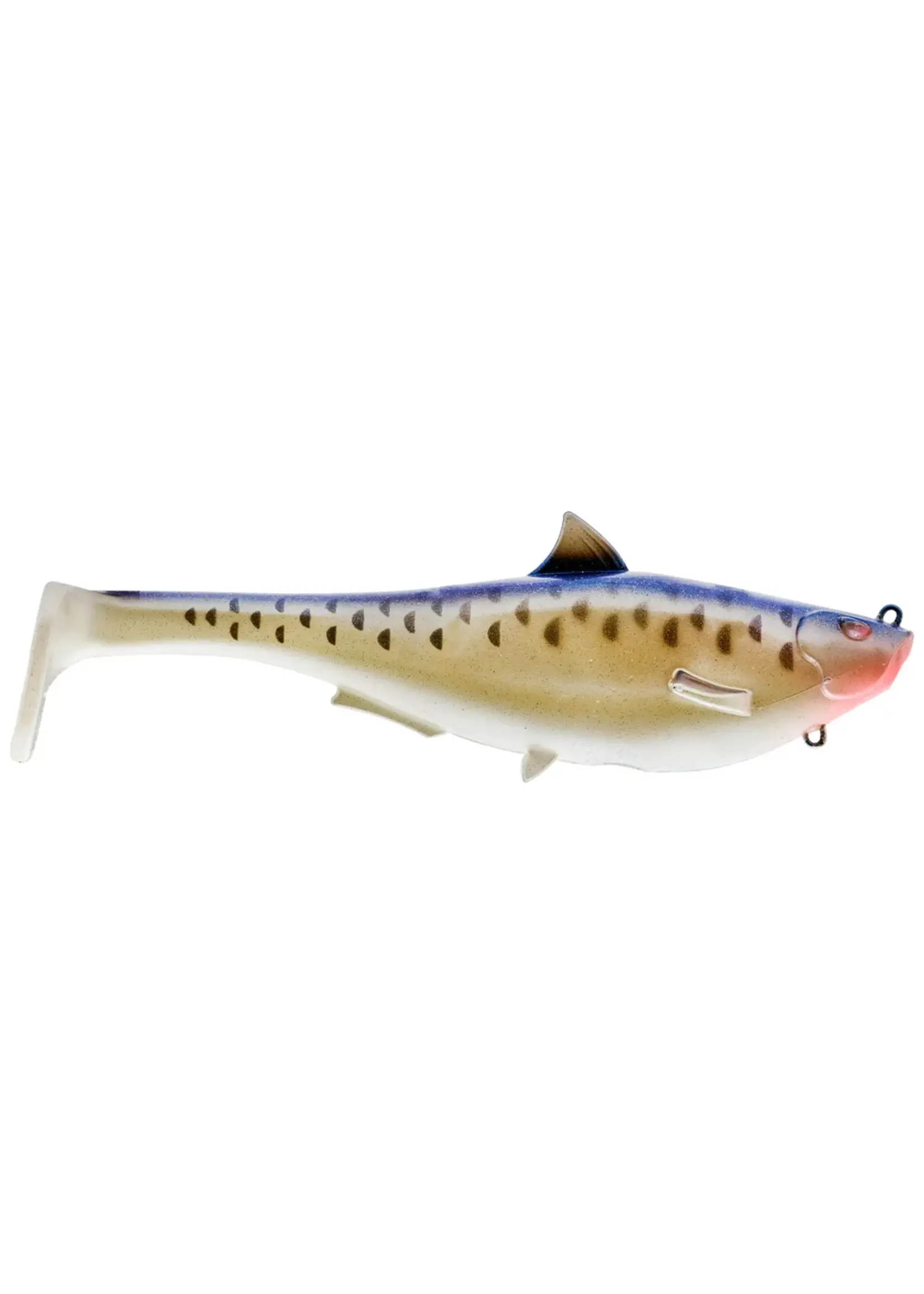 Spro Spro - 6" Megalojohn Swimbait -