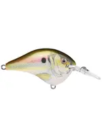 Rapala Rapala - DT06 -