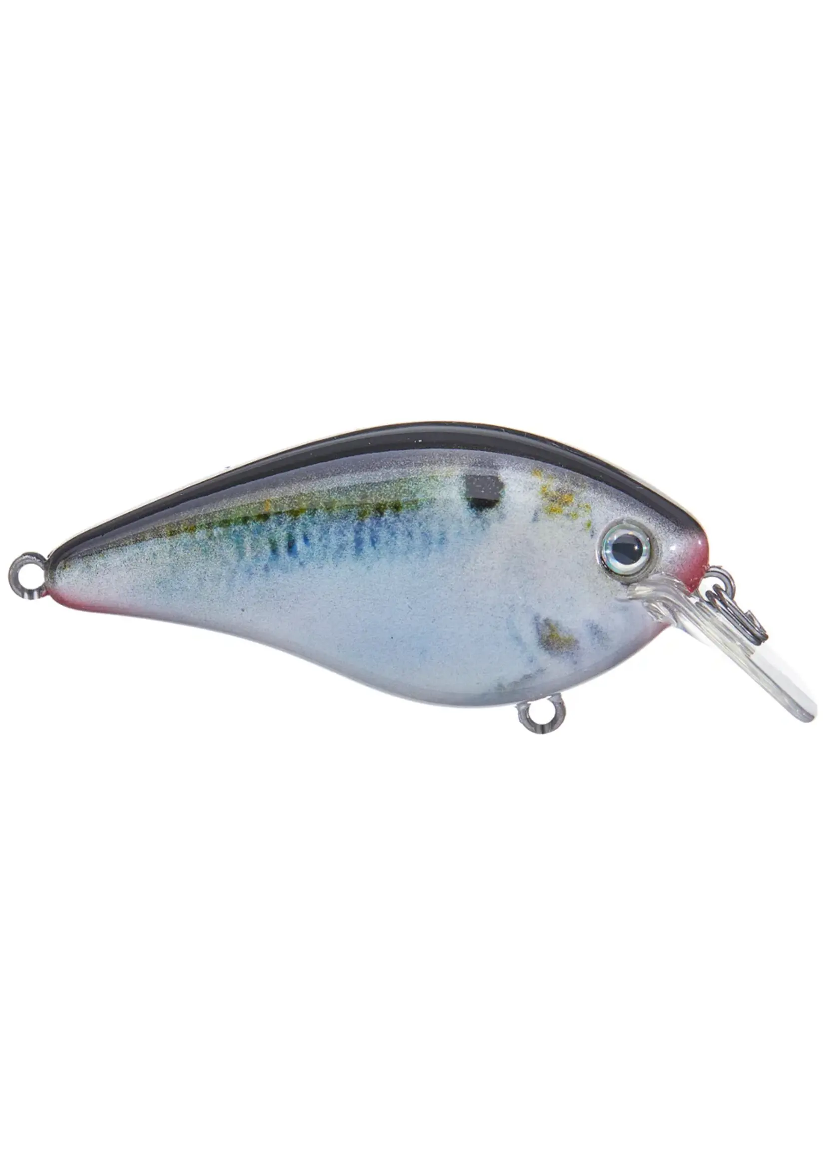 Strike King Strike King - KVD 2.5 - Shallow -