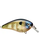 Strike King Strike King - KVD 1.5 - Square Bill -