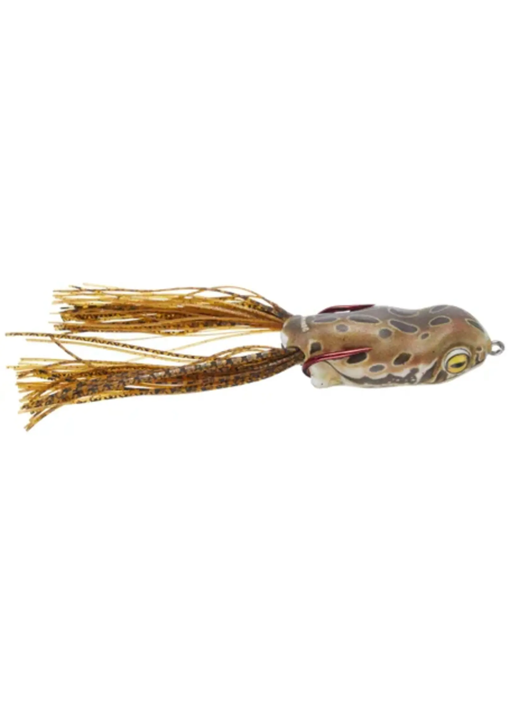 Scum Frog Scum Frog - Launch XS Frog -