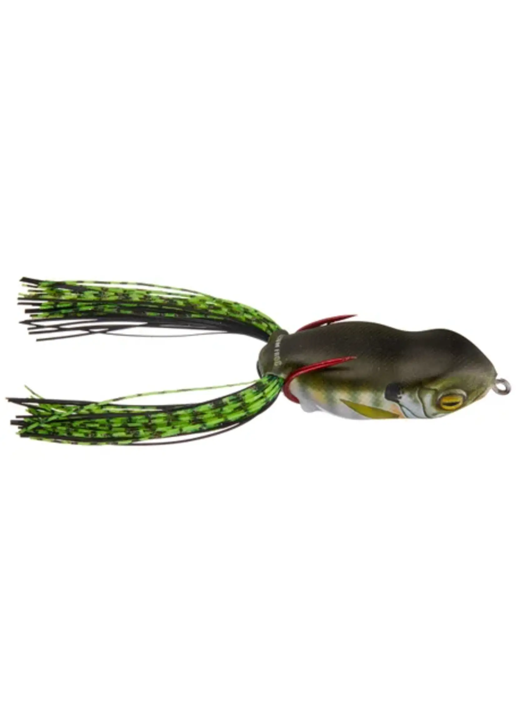 Scum Frog Scum Frog - Launch Frog -