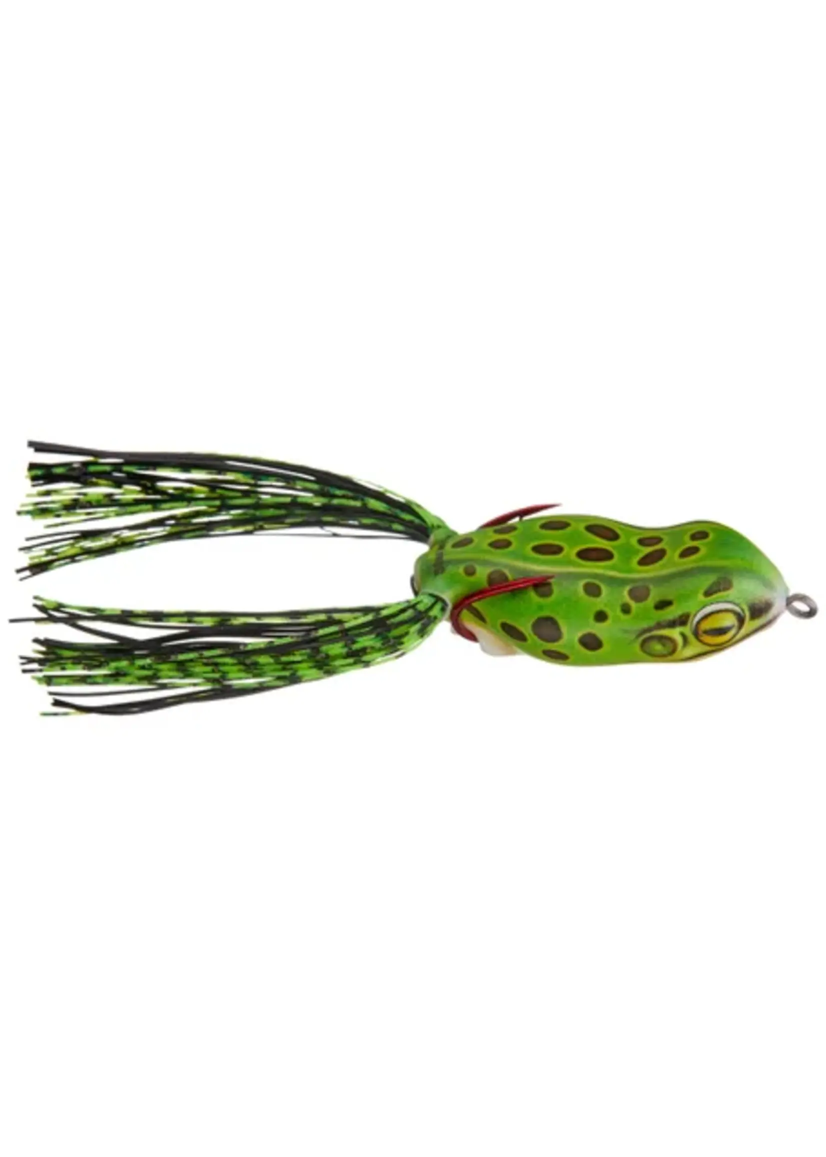 Scum Frog Scum Frog - Launch Frog -