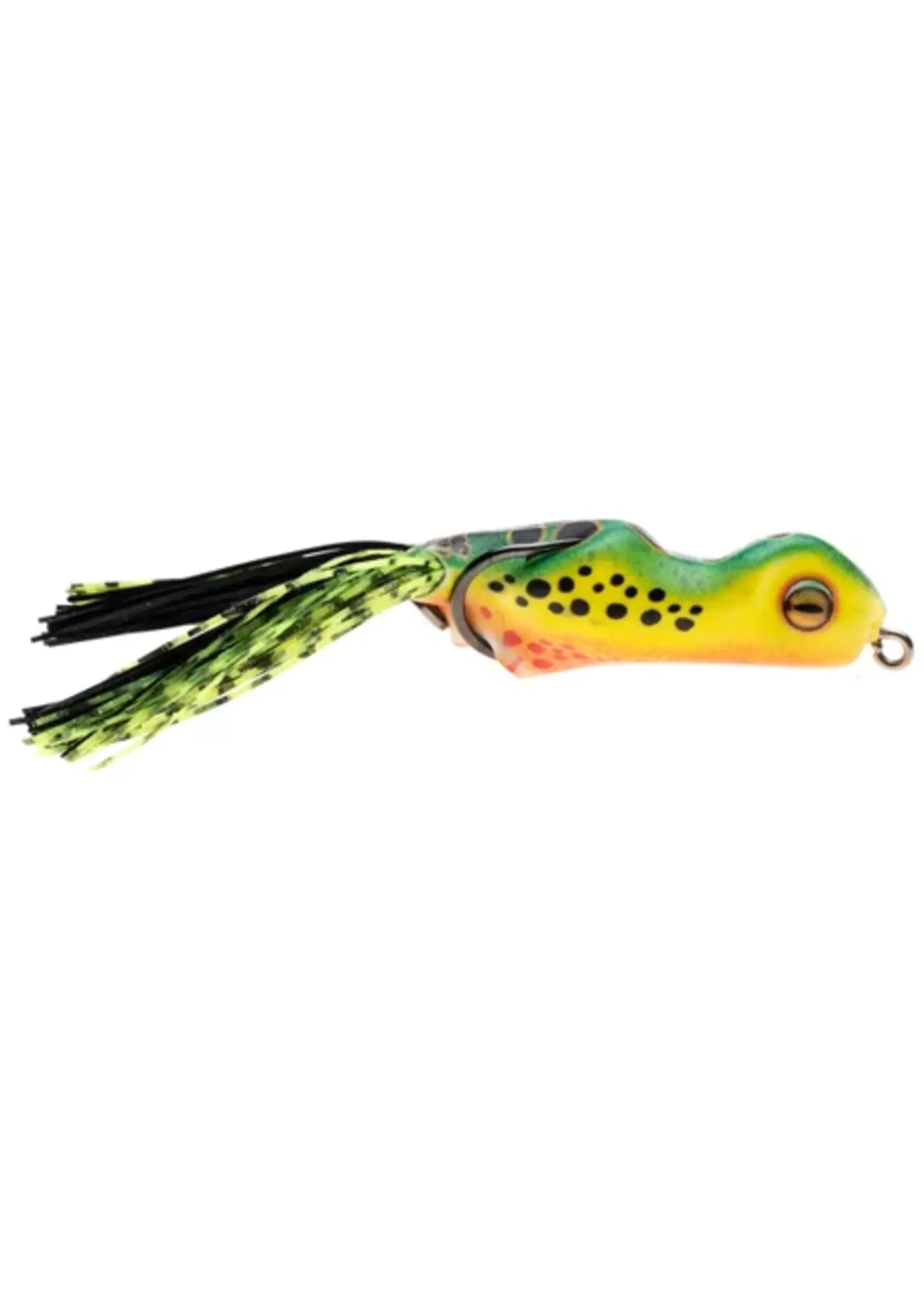 Scum Frog Scum Frog - Trophy Series -