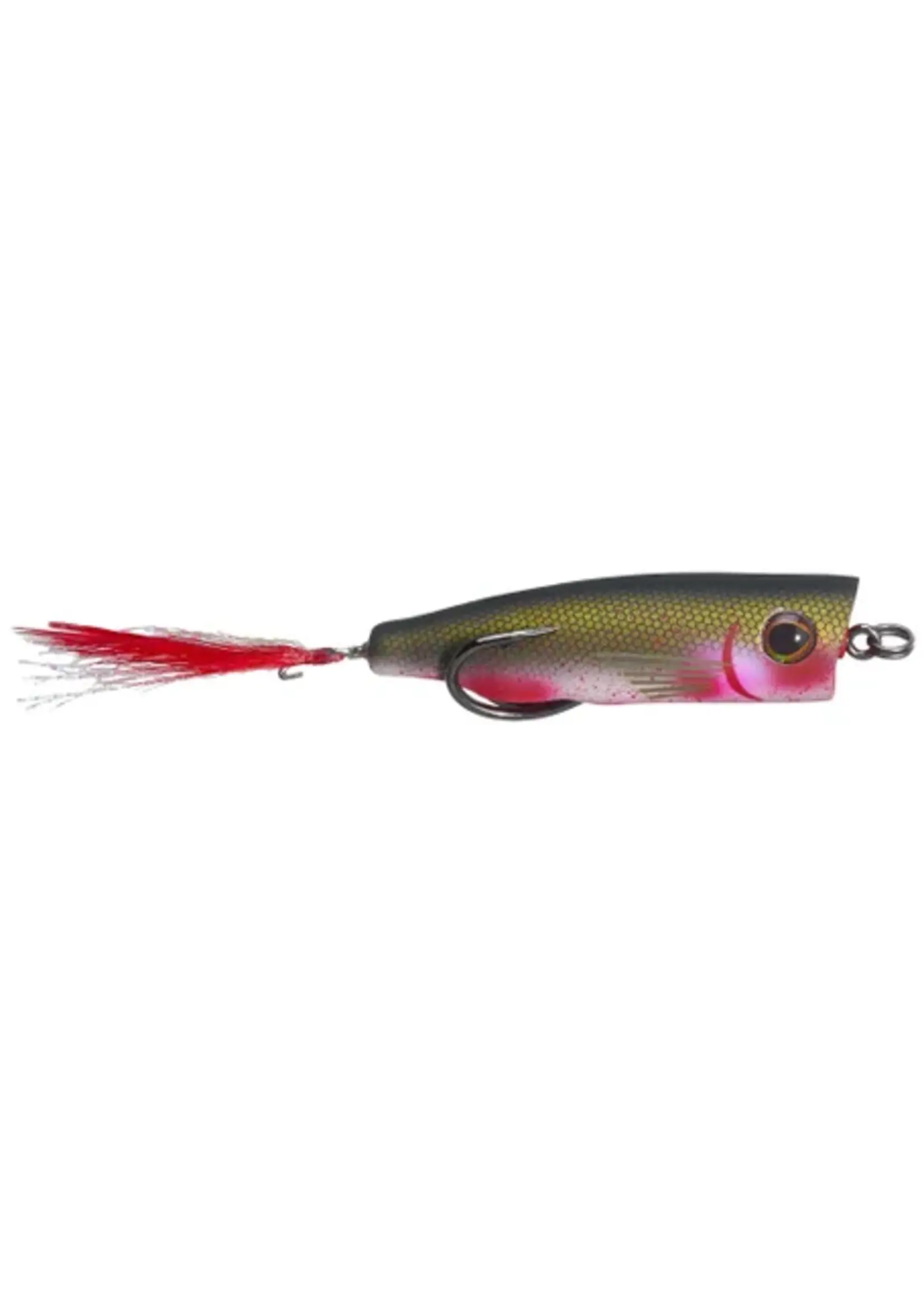 Snag Proof Snag Proof - Zoo Pop Topwater Popper -