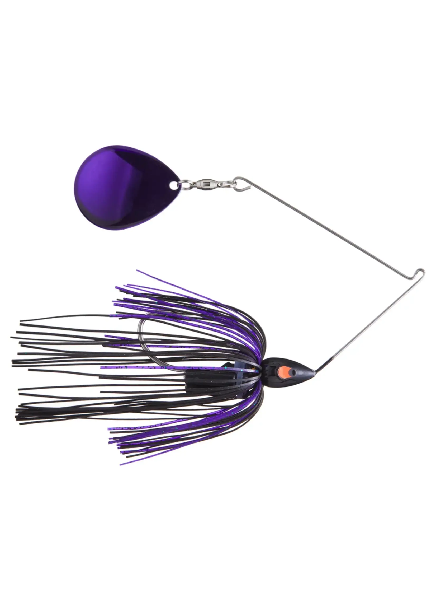 War Eagle War Eagle - Night Time - C BN -