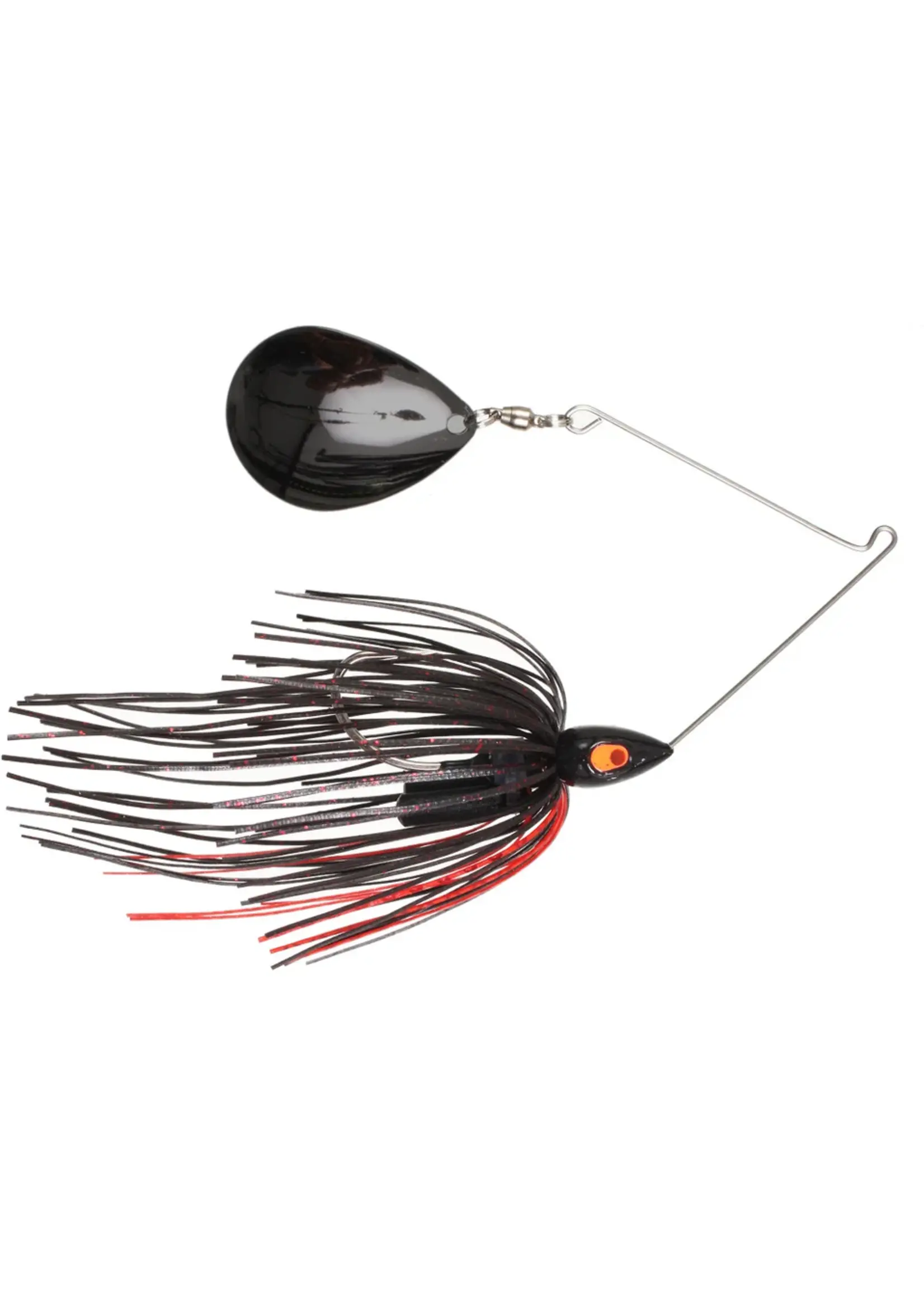 War Eagle War Eagle - Night Time - C BN -