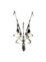 Hog Farmer Bait Co Hog Farmer - Umbrella Rig - BFL Rig - 5 Wire Micro