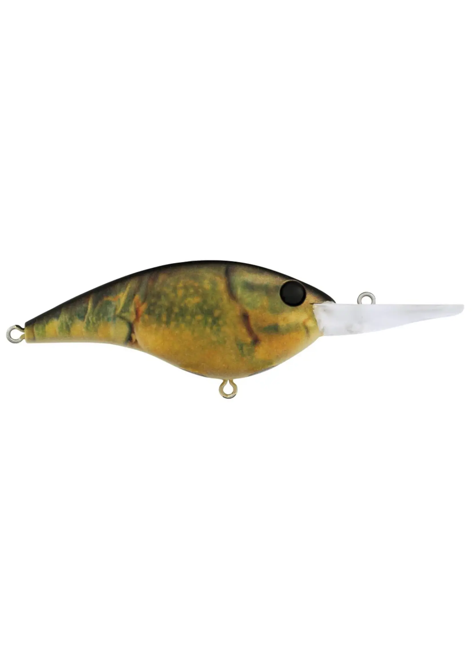 Berkley Berkley - Frittside 9 -