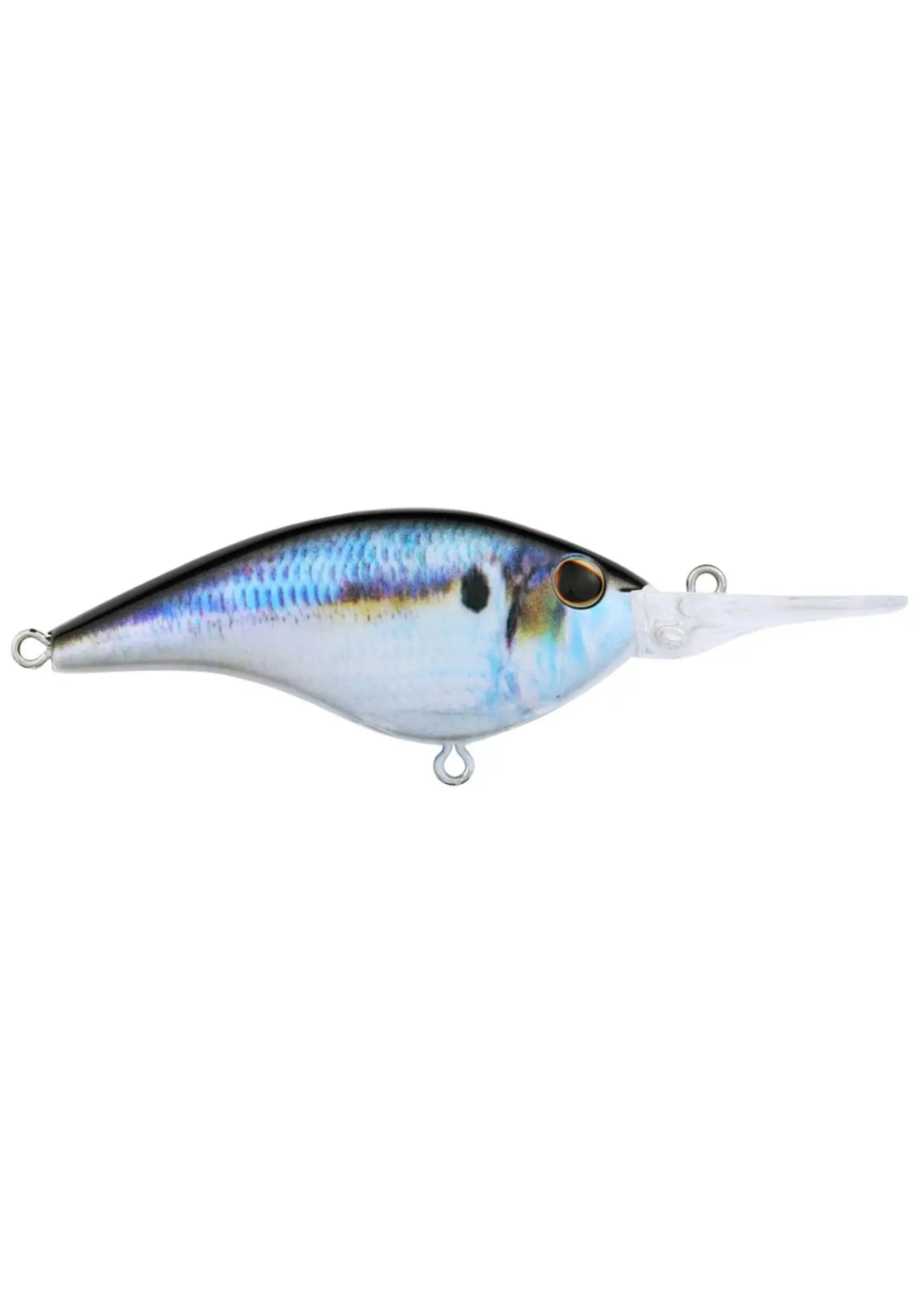Berkley Berkley - Frittside 9 -