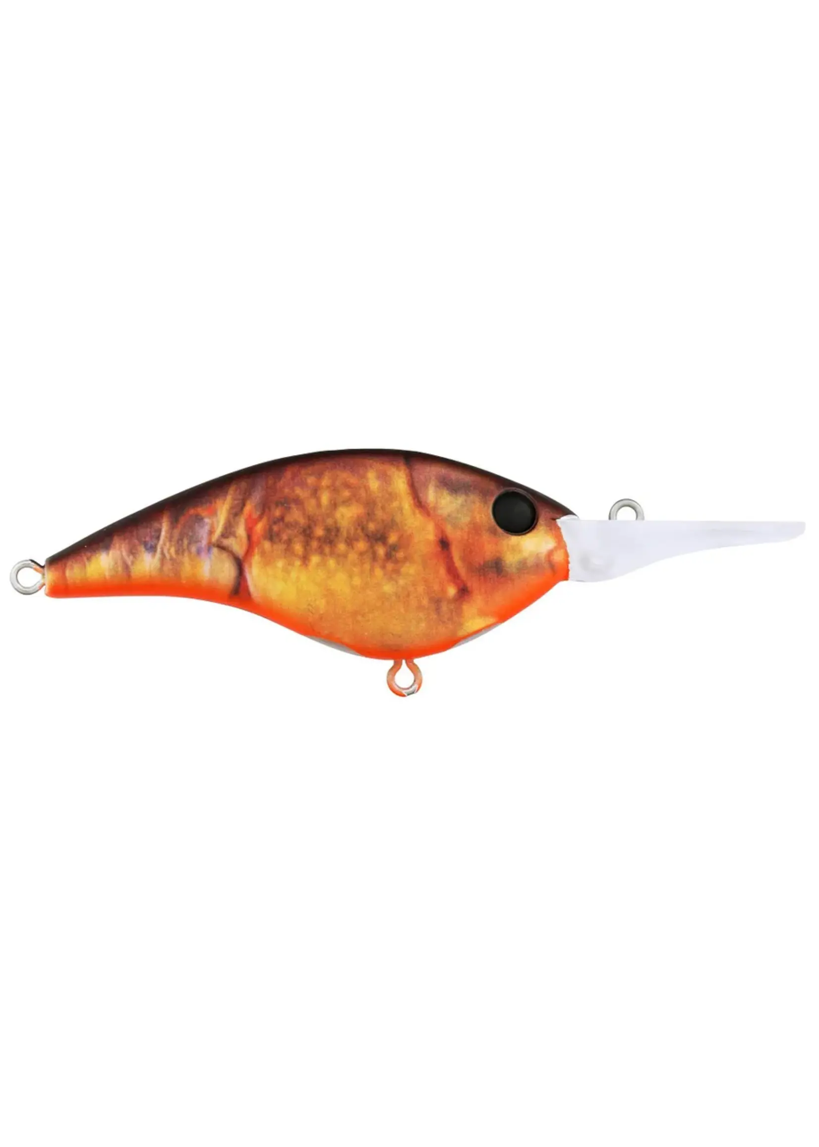 Berkley Berkley - Frittside 7 -