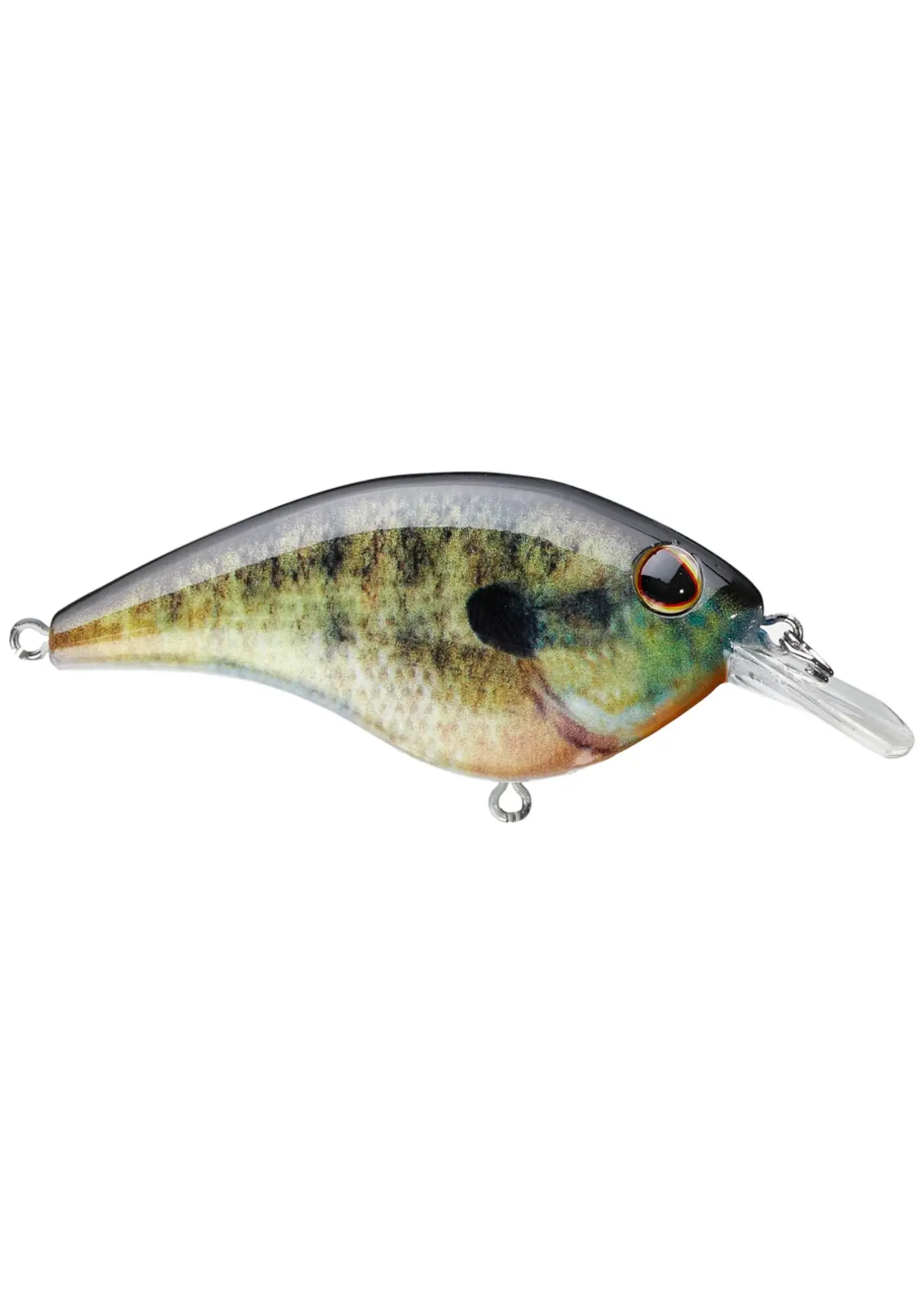 Berkley Berkley - Frittside 5 Crankbait -