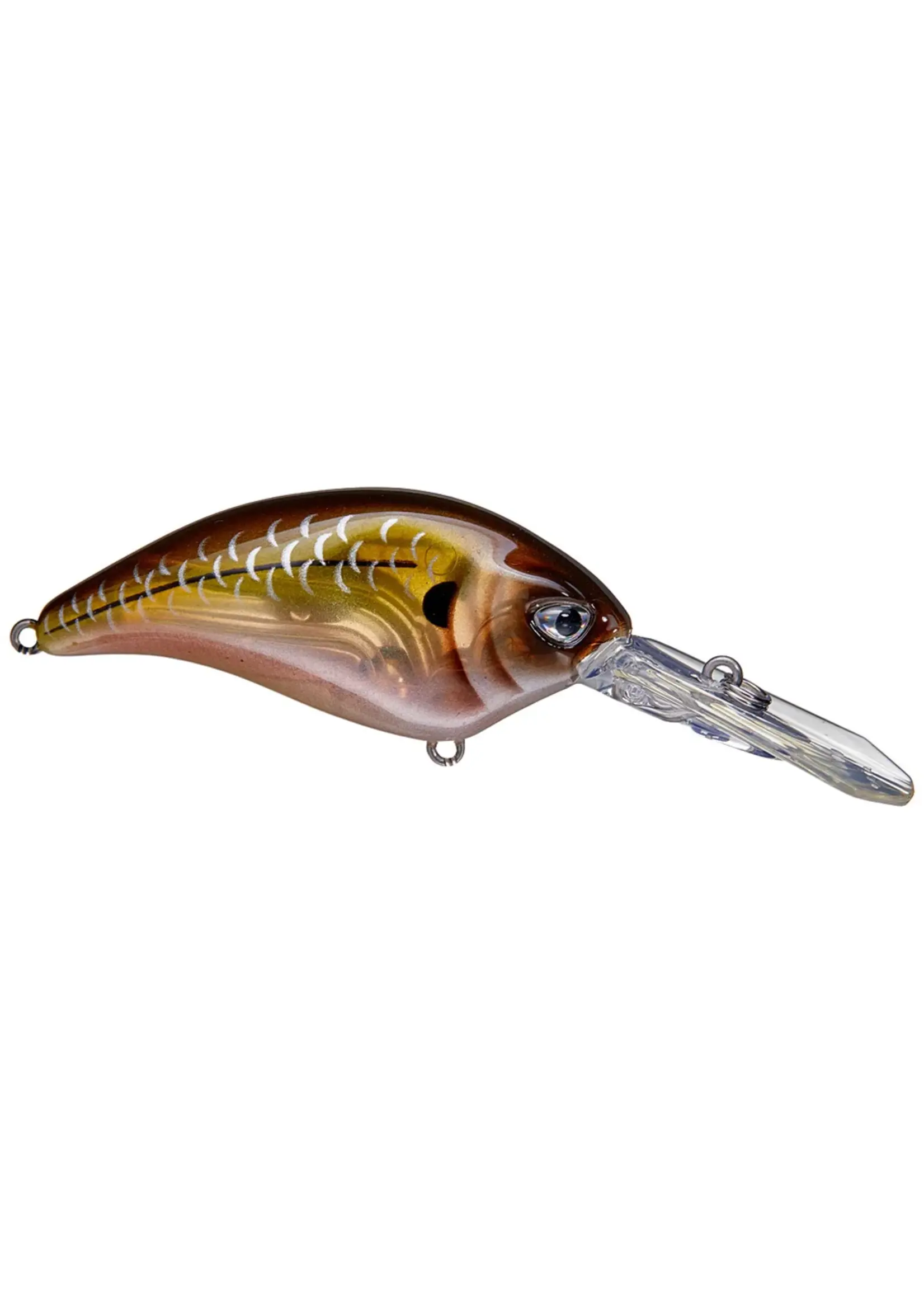 Duckett Fishing Duckett - Delete - BD Revolt Crank DR Crankbait -