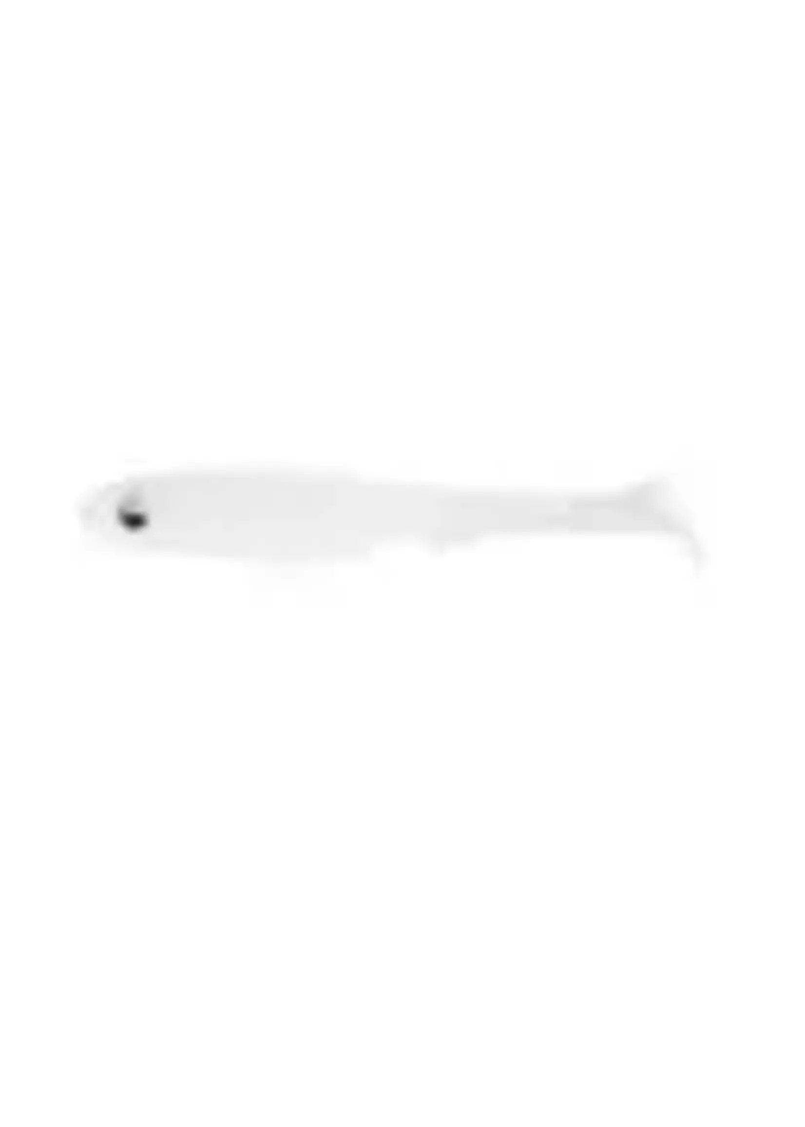 6th Sense 6th Sense - Party Minnow -