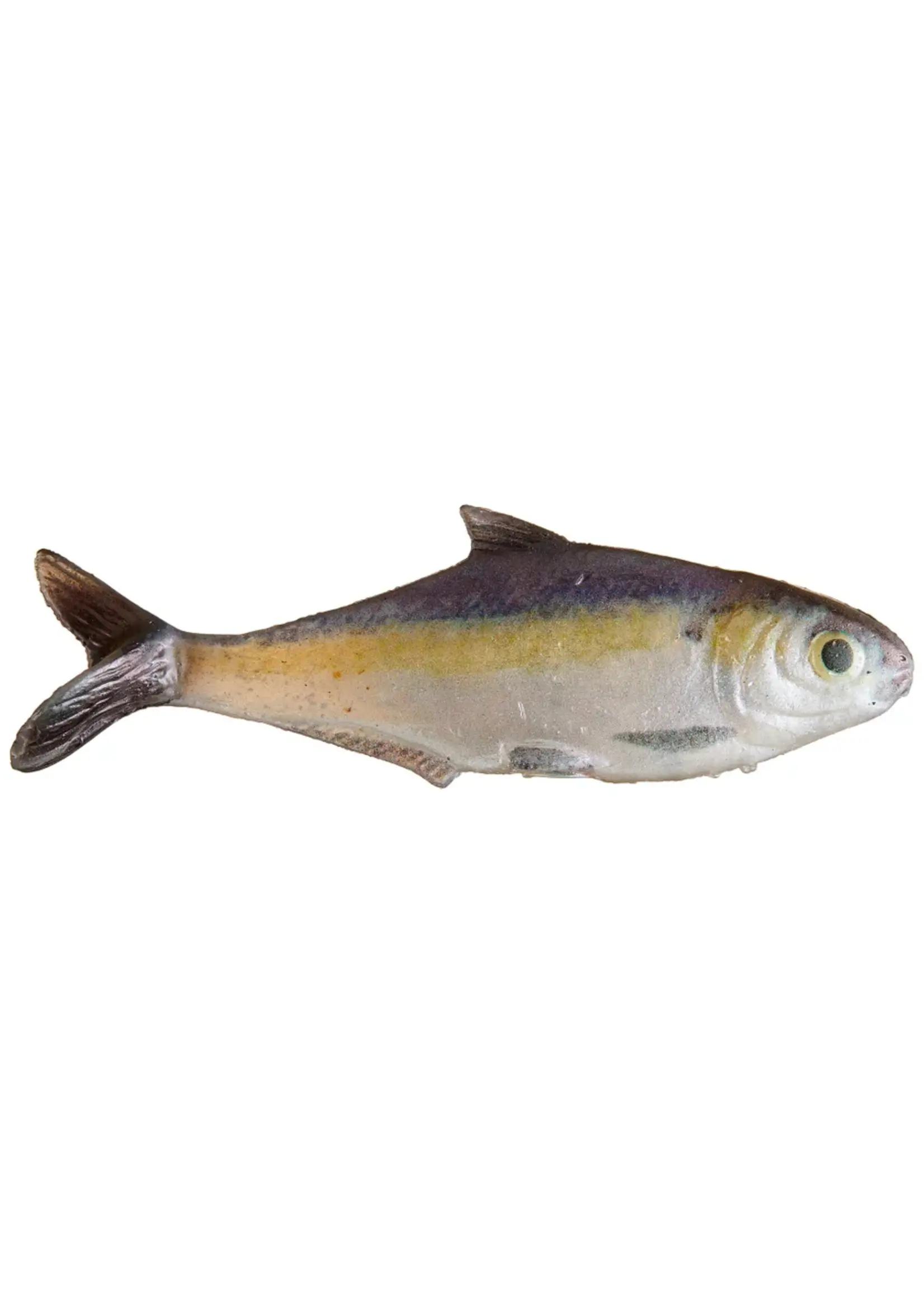 True Bass - 6" Texas Shad Line Thru Swimbait -