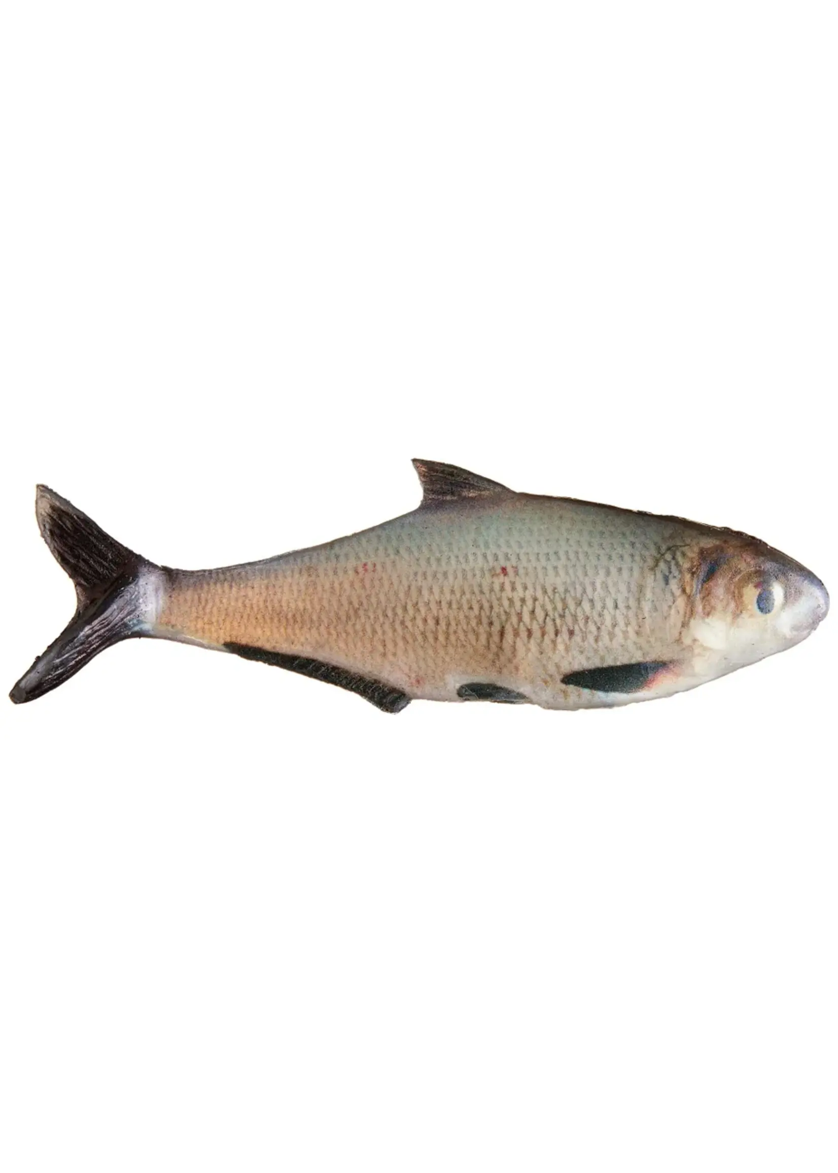 True Bass - 6" Texas Shad Line Thru Swimbait -