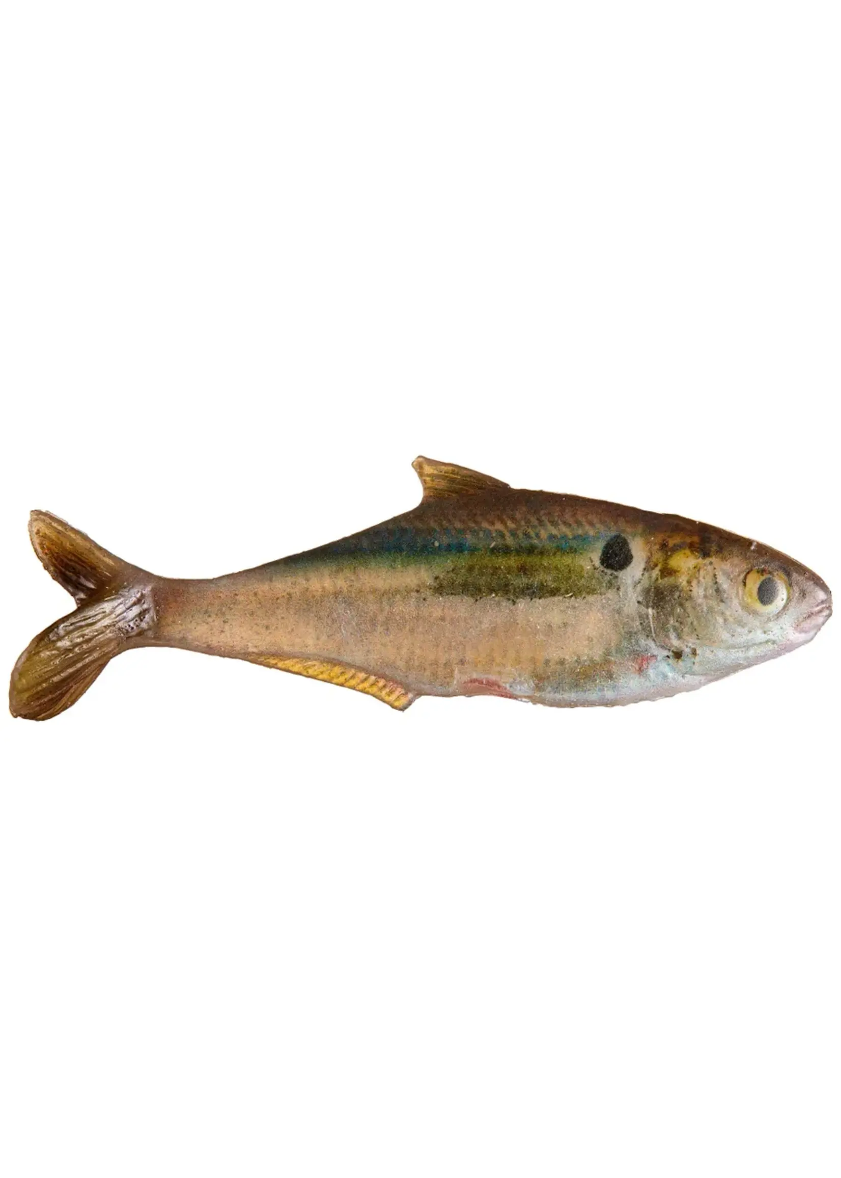 True Bass - 6" Texas Shad Line Thru Swimbait -