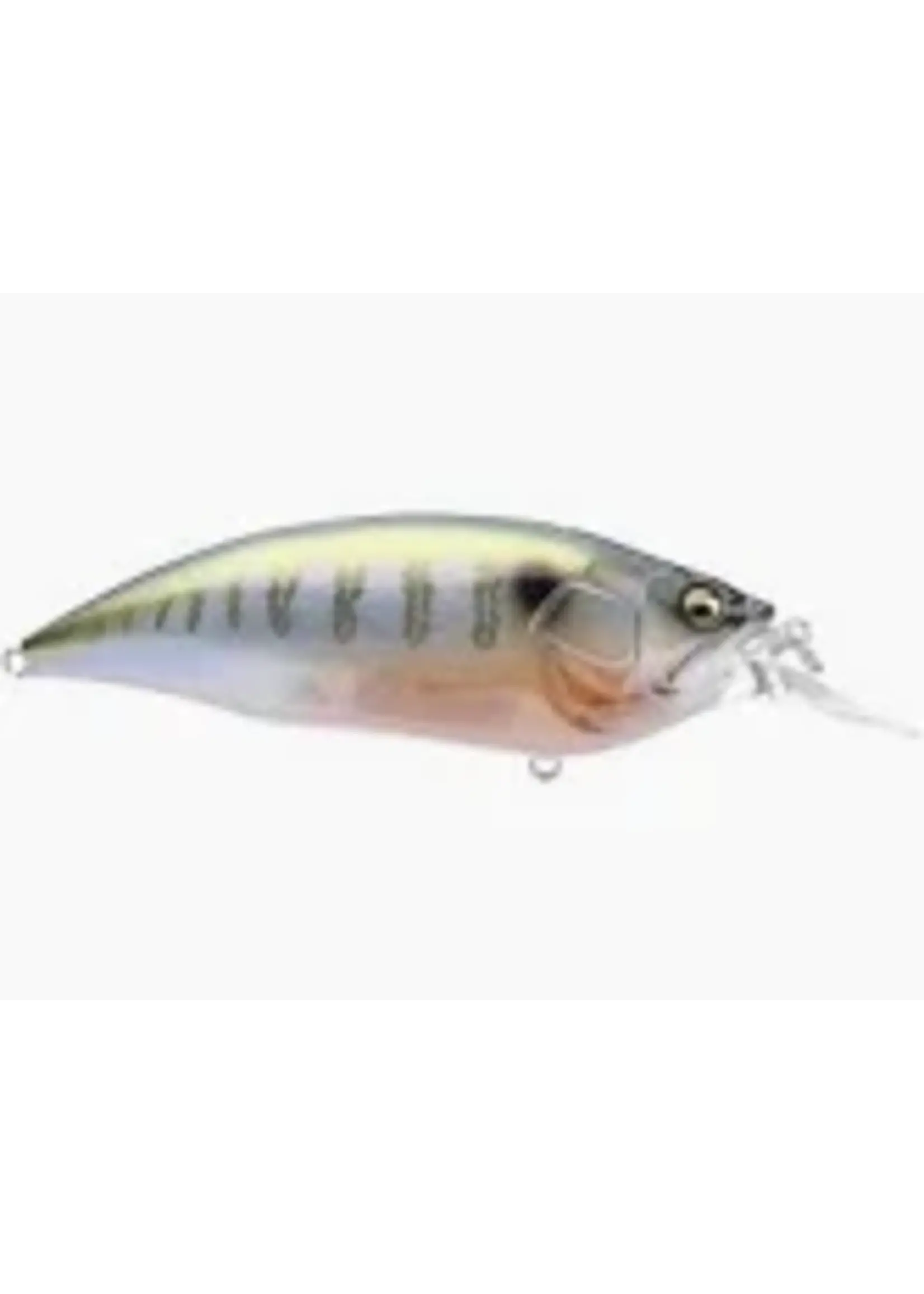 Megabass of America Megabass - Delete - Big M 4.0 Crankbait - Secret Gill