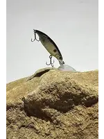 The Nasty The Nasty - Big -