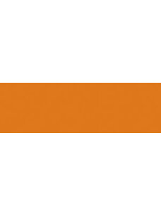 Acid Dye Burnt Orange