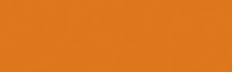 Acid Dye Burnt Orange