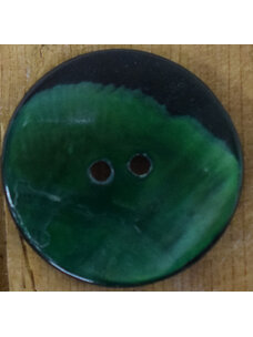 1 1/8" Green Mussell Shell