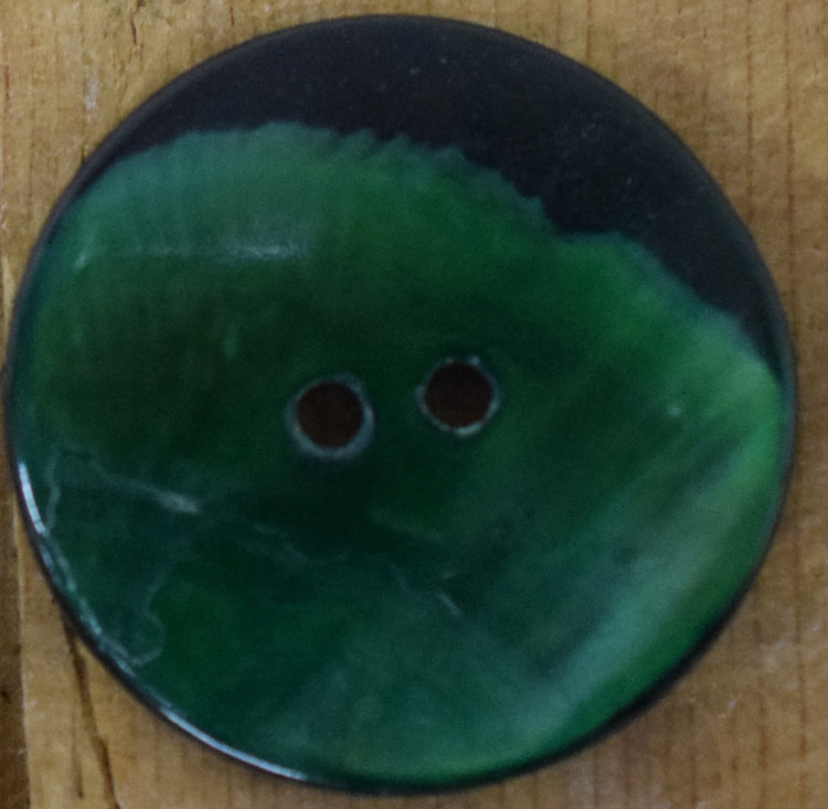 1 1/8" Green Mussell Shell