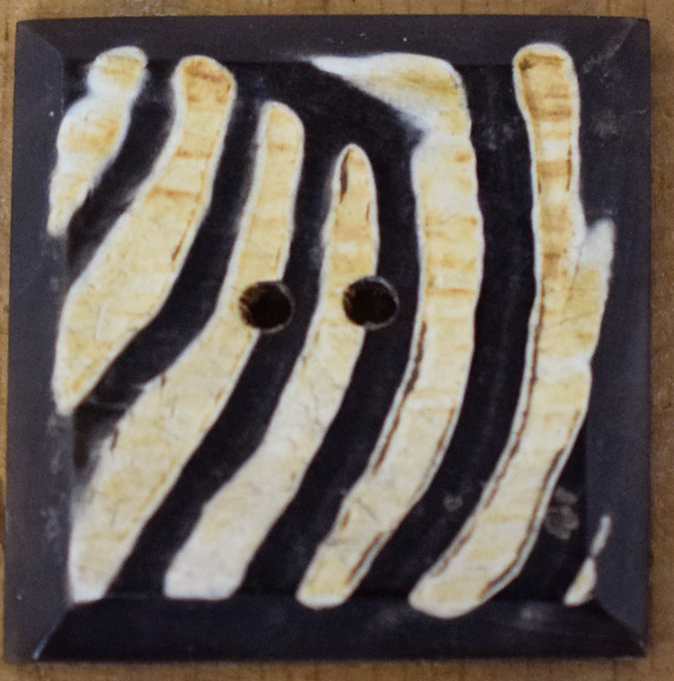 1 3/8" Tiger Stripe Horn #N31