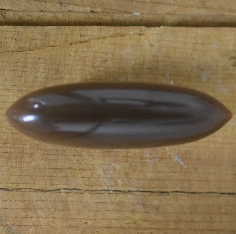 1 5/8" Brown Toggle #85495